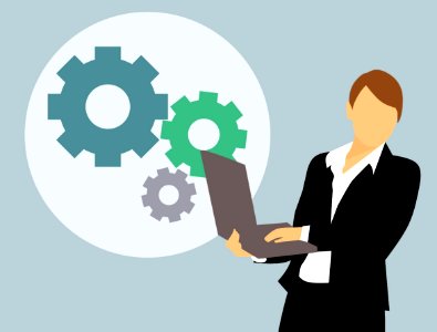 Web development growth programmer
