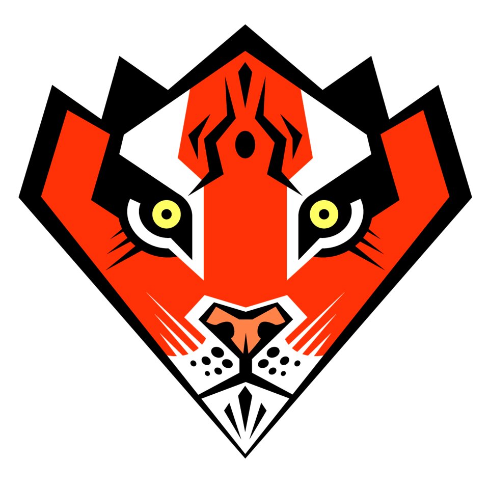 Character design adobe illustrator logo design
