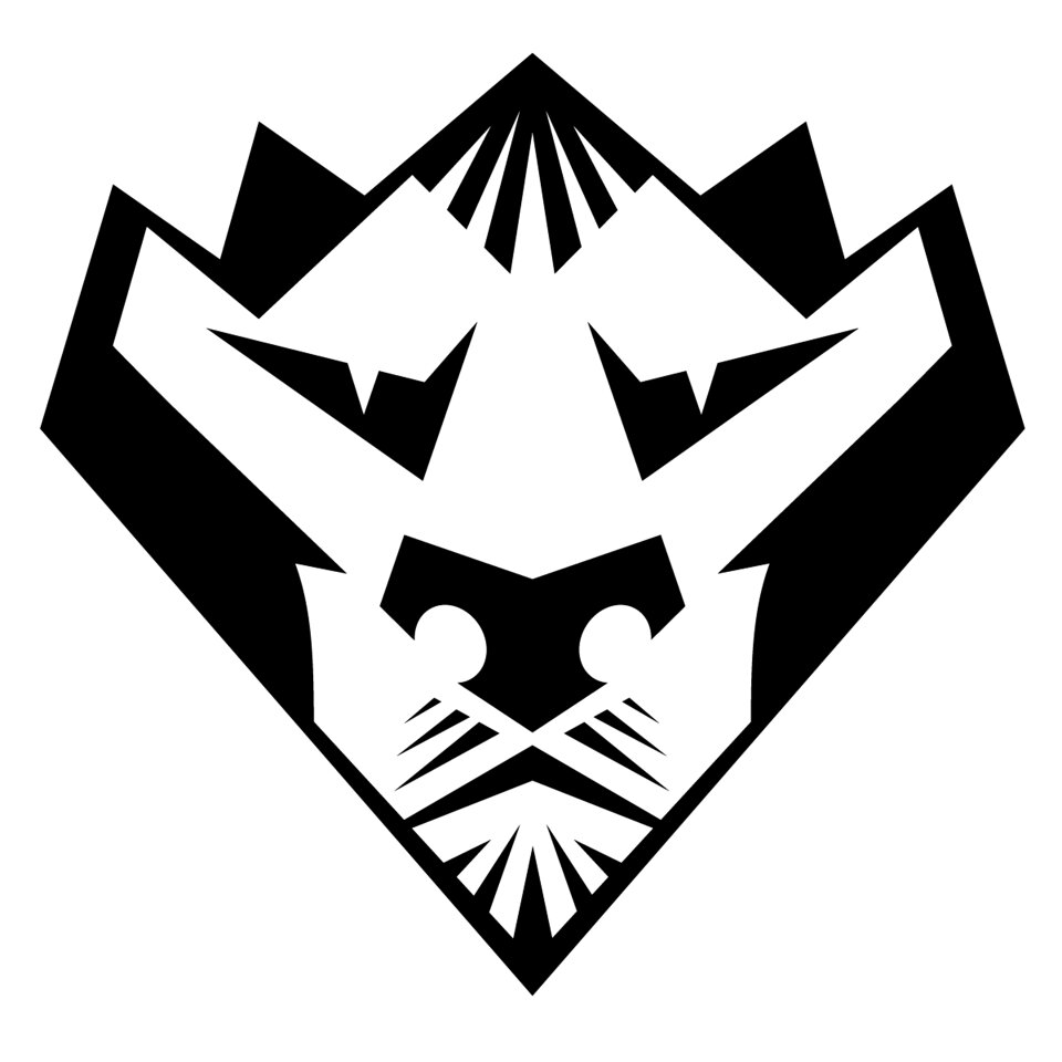 Character design adobe illustrator logo design