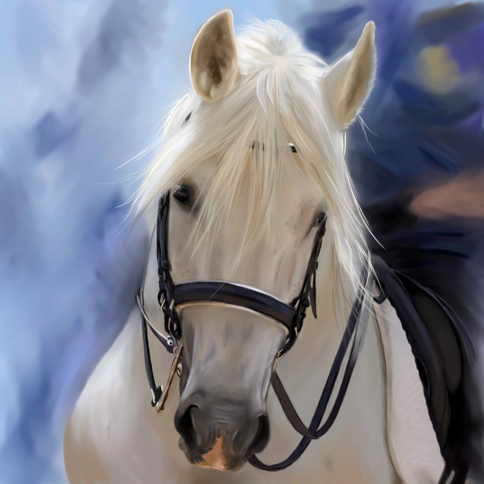 Nature landscape horse