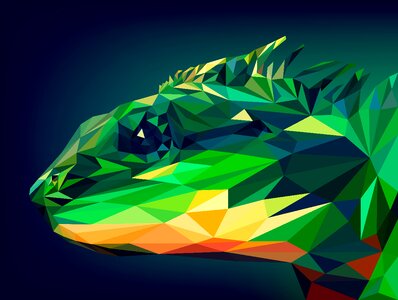 Art polygon illustration