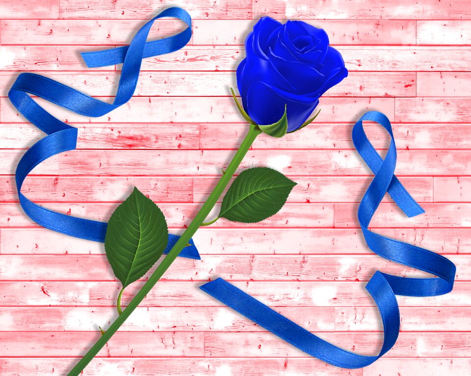 Summer flower pink blue