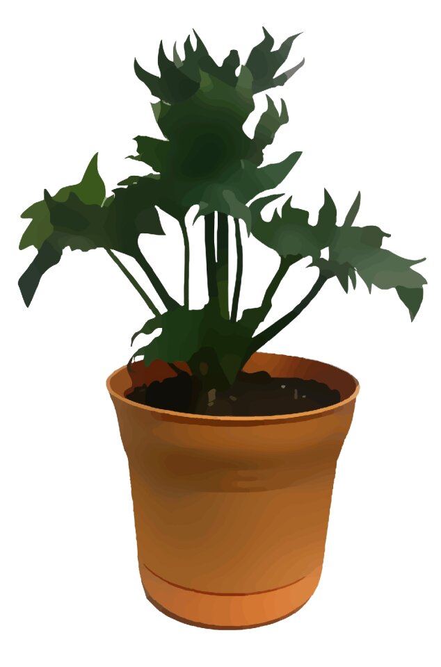 Green nature leaf