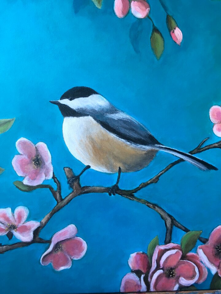Garden outdoor blossom