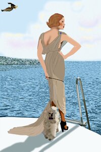 Sea seagull Free illustrations