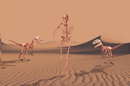Desert sand Free illustrations
