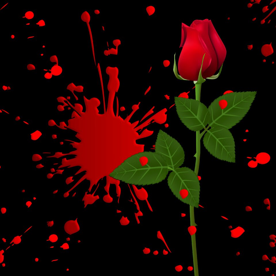 Black background flower flowers