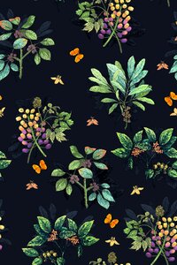 Nature plant Free illustrations