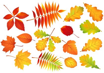 Background color season
