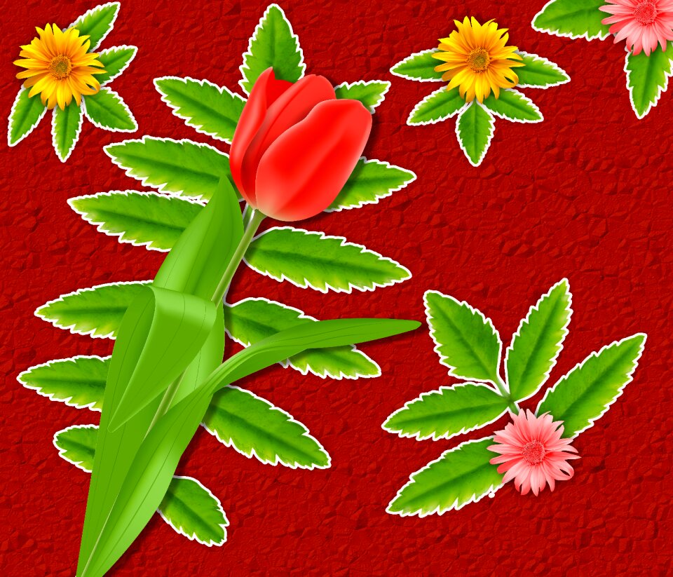 Flowers leaves flower
