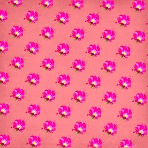 Color texture pink