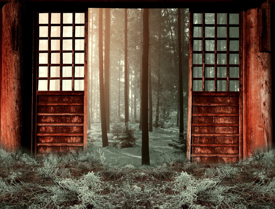 Season outdoor forest