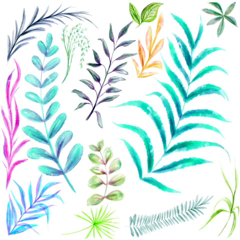 Group of sheets plants vegetation