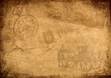 Horses transport time