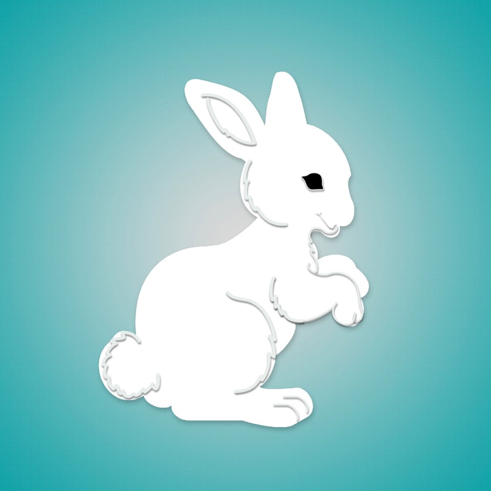 Animal rabbit cute