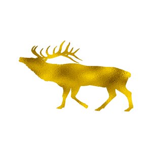Cute nature Free illustrations