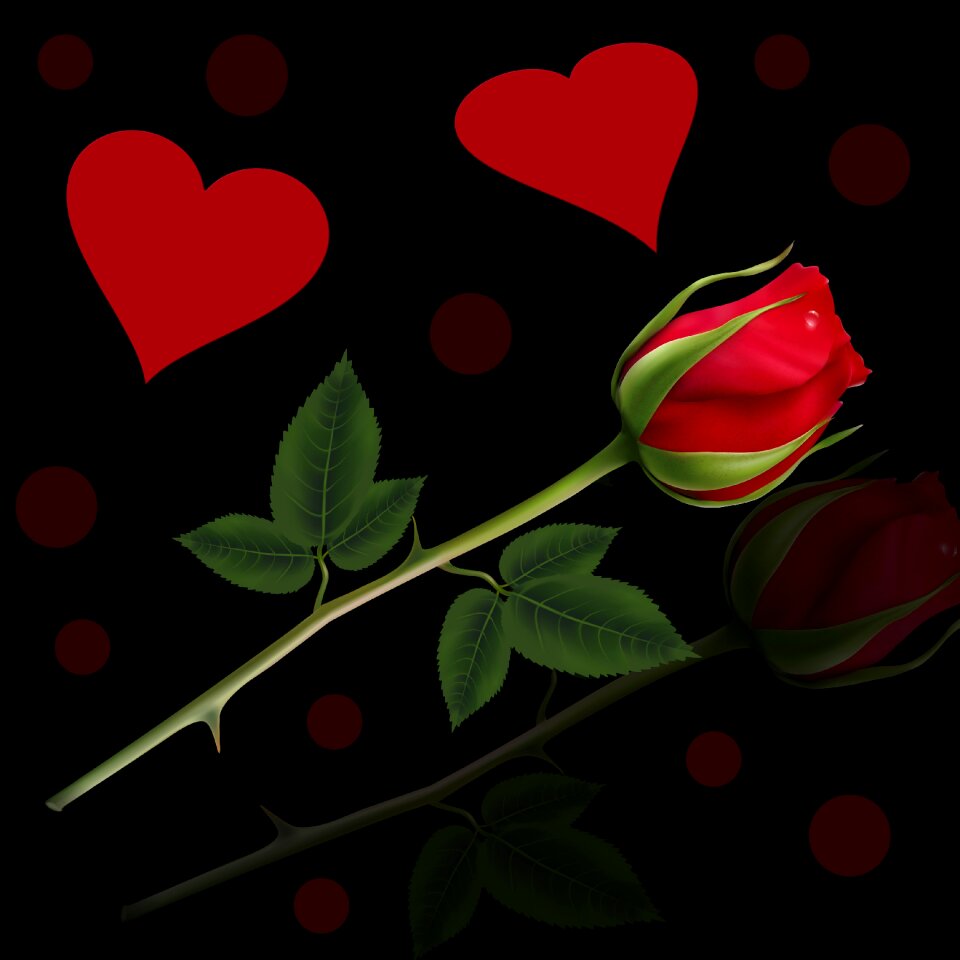 Heart black background reflection