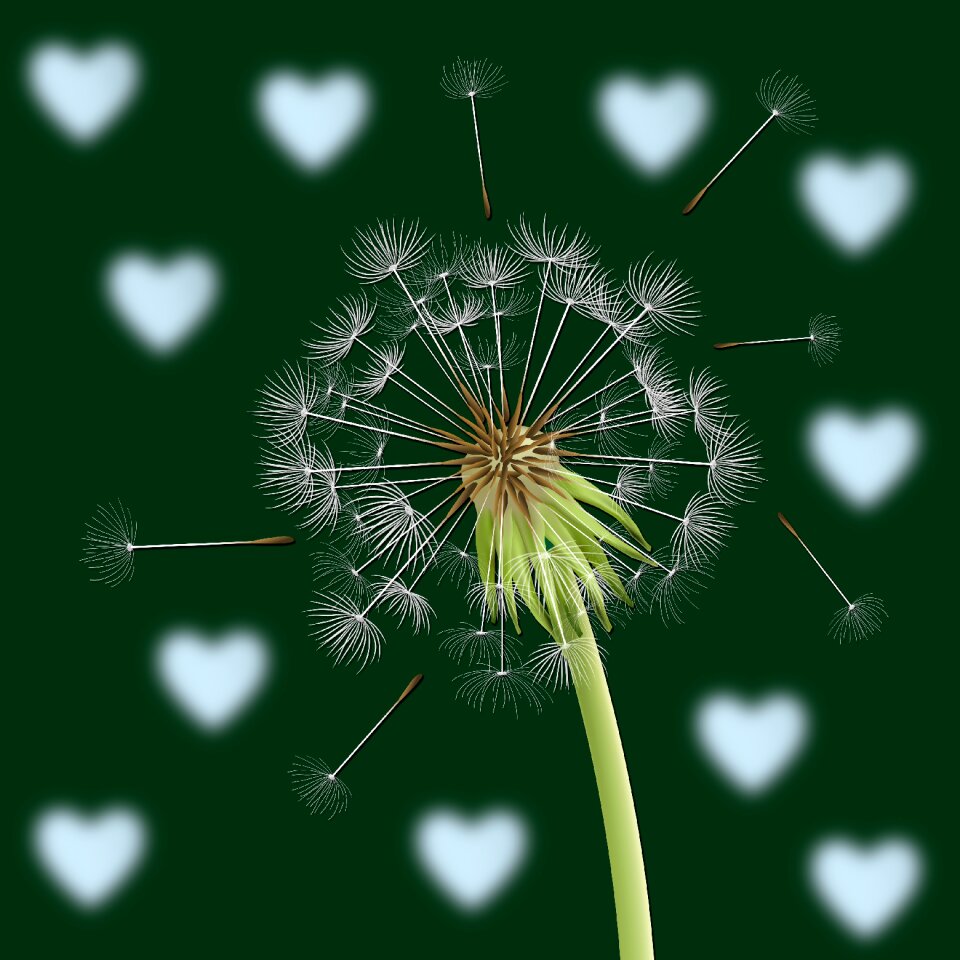 Background hearts color