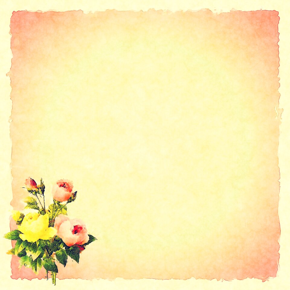 Scrapbook scrapbooking paper