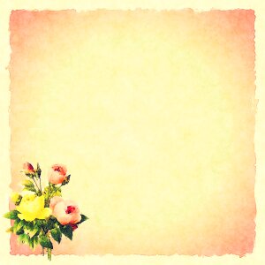 Scrapbook scrapbooking paper