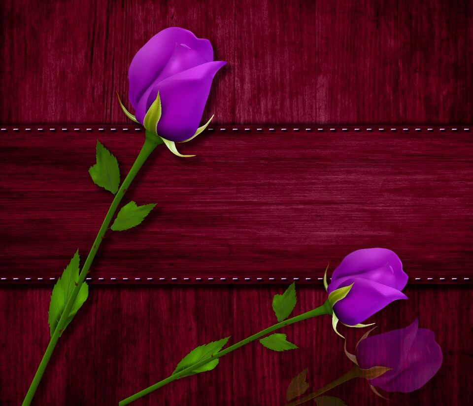 Flowers design background purple
