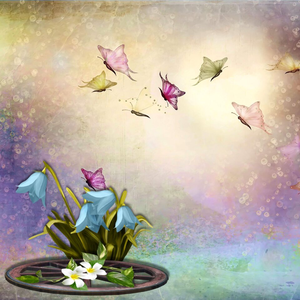 Flowers nature romantic