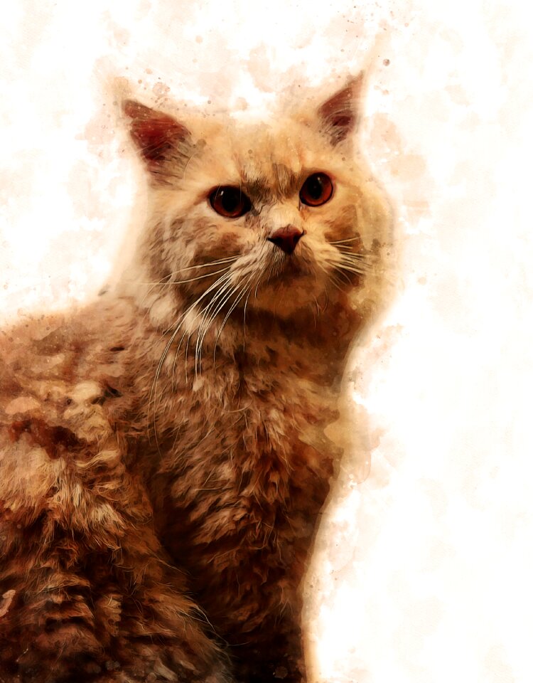 Cute mammal portrait