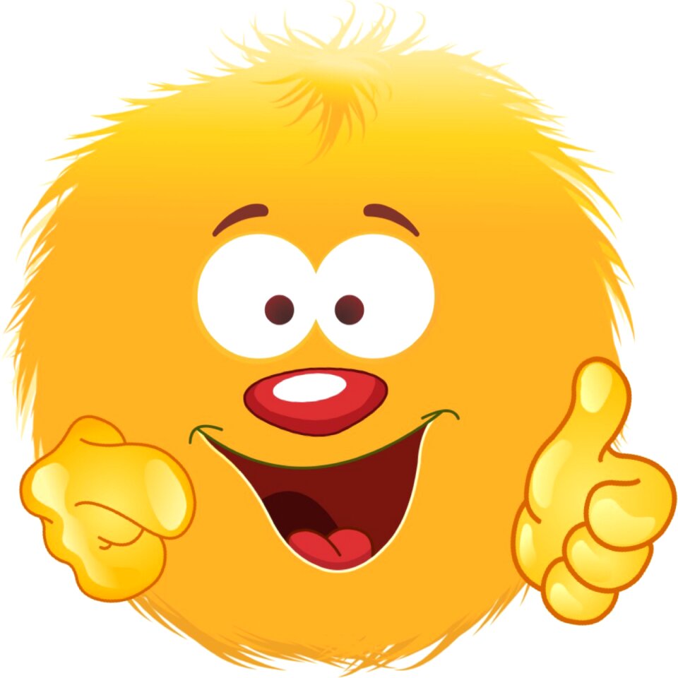 Cute fresh orange funny