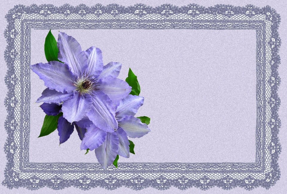 Lace frame Free illustrations
