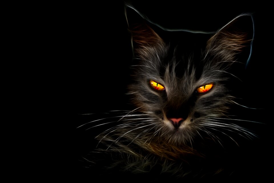 Fiery eyes Free illustrations