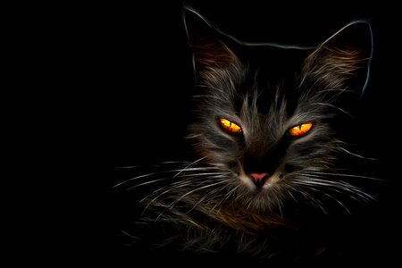 Fiery eyes Free illustrations