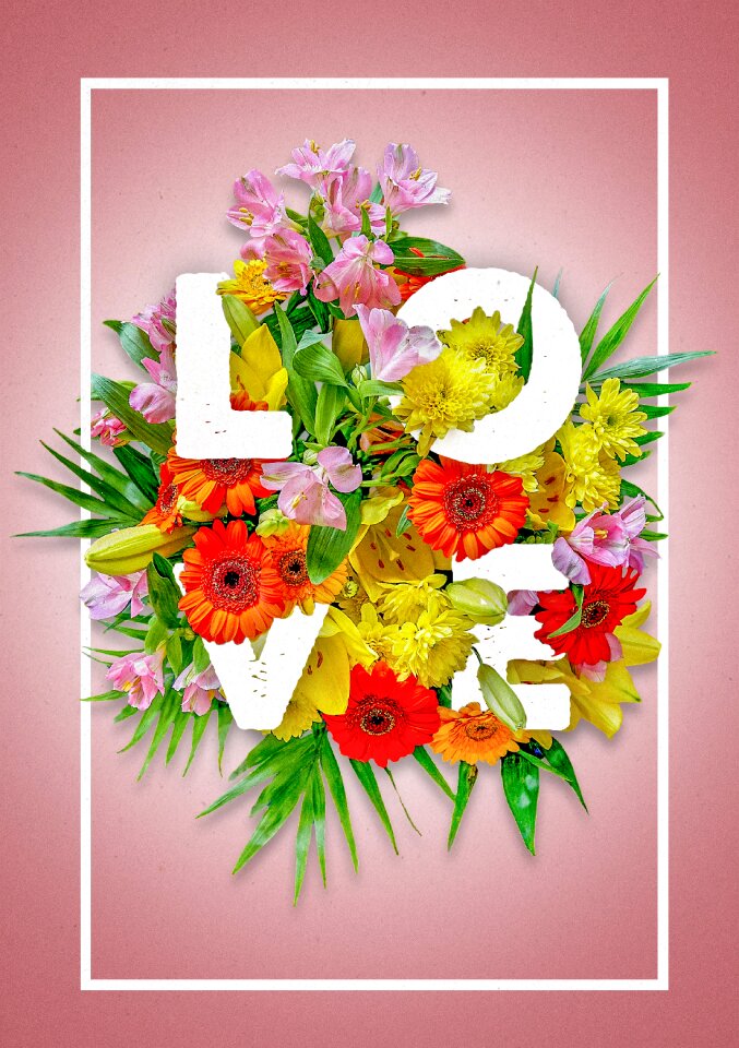 Valentine's day postcard valentine