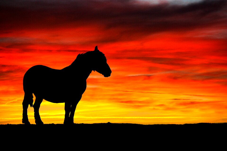 Sunset nature sky