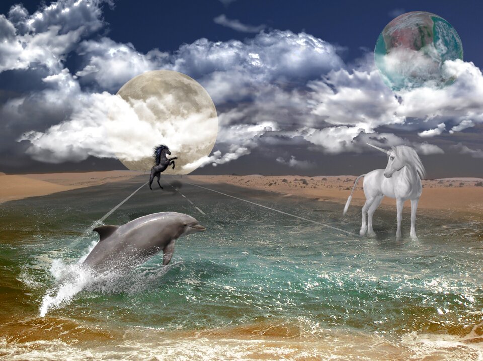 Fairy tales mystical photomontage