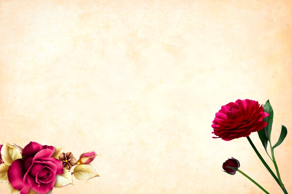 Floral border garden frame