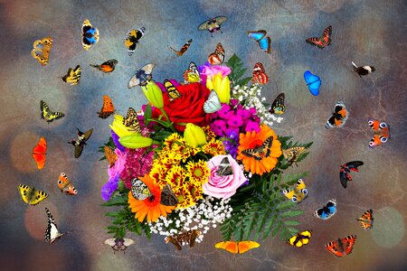 Bouquet flying wing