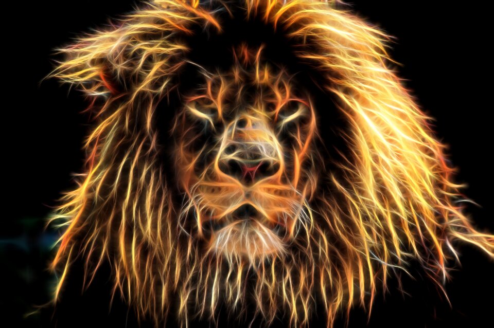 Predator africa cat