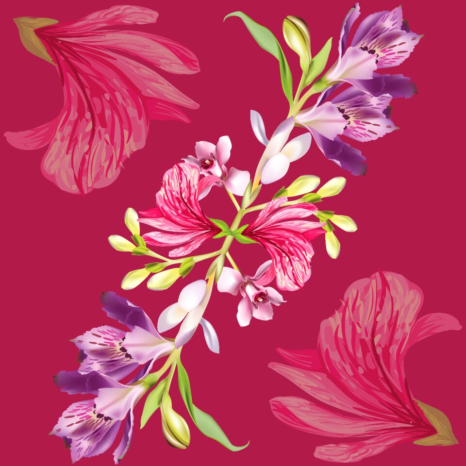 Drawing flower motif natural motif