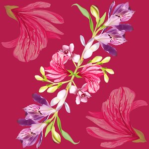 Drawing flower motif natural motif
