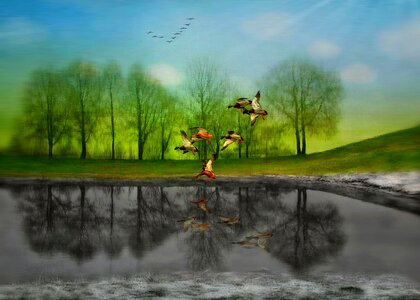 Reflection nature Free illustrations