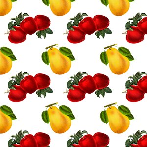 Apple pear design