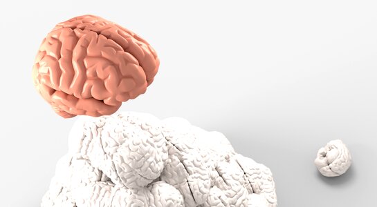Psychology mind neurology
