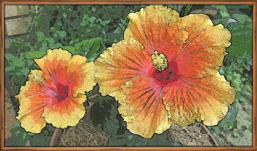 Flower frame garden