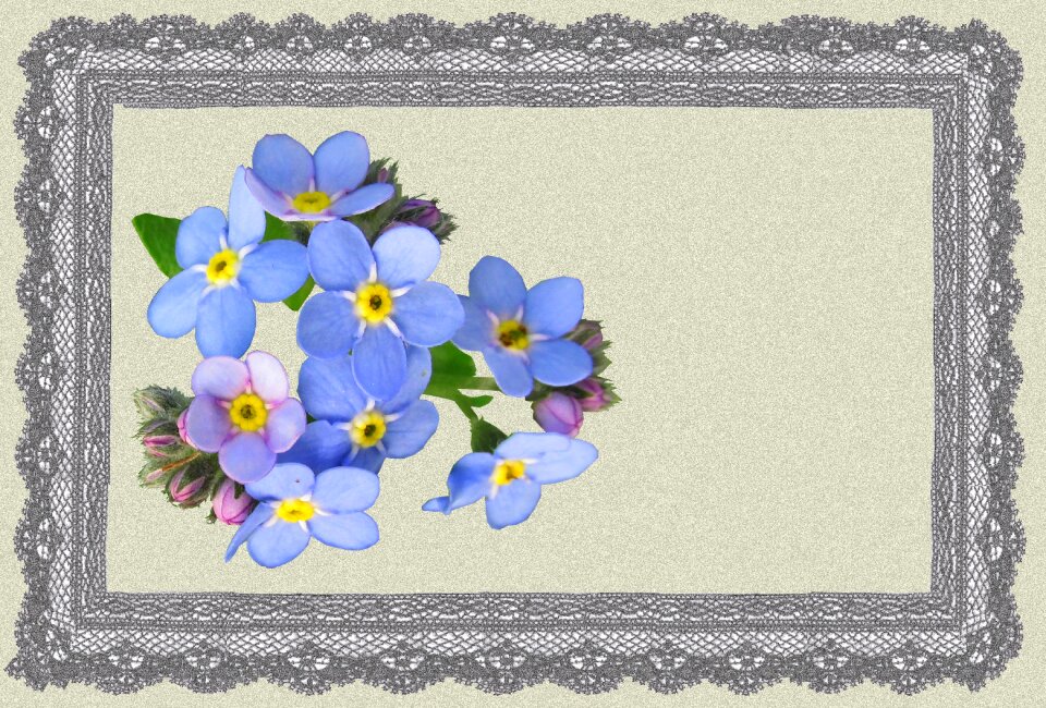 Lace frame Free illustrations