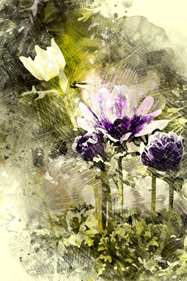 Purple flower blossom bloom