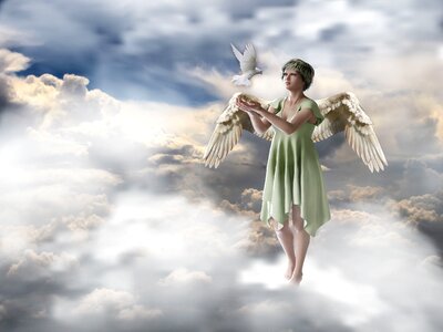 Fantasy paloma wings