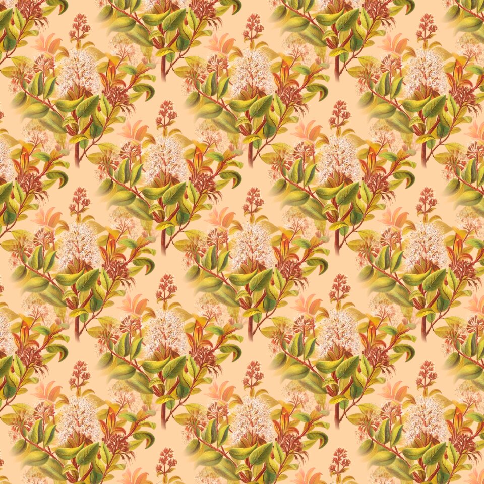 Floral orange vintage Free illustrations