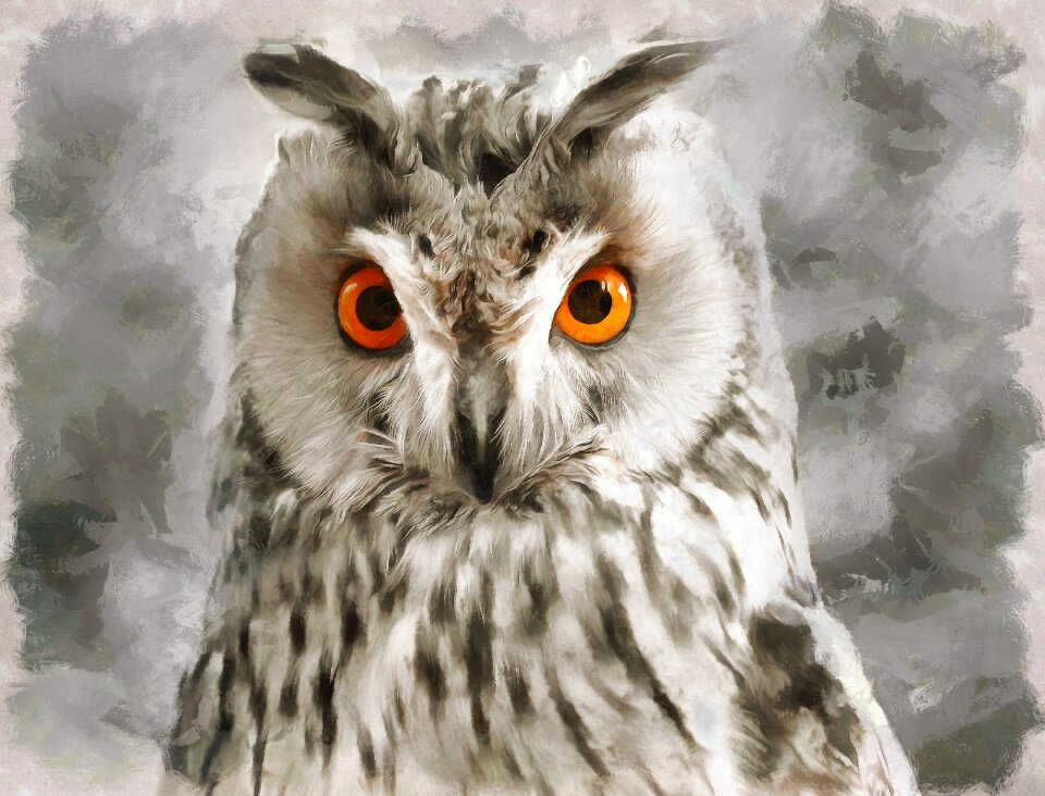 Nature bird Free illustrations