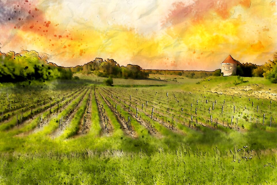 Nature field landscape
