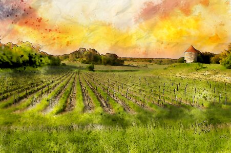 Nature field landscape